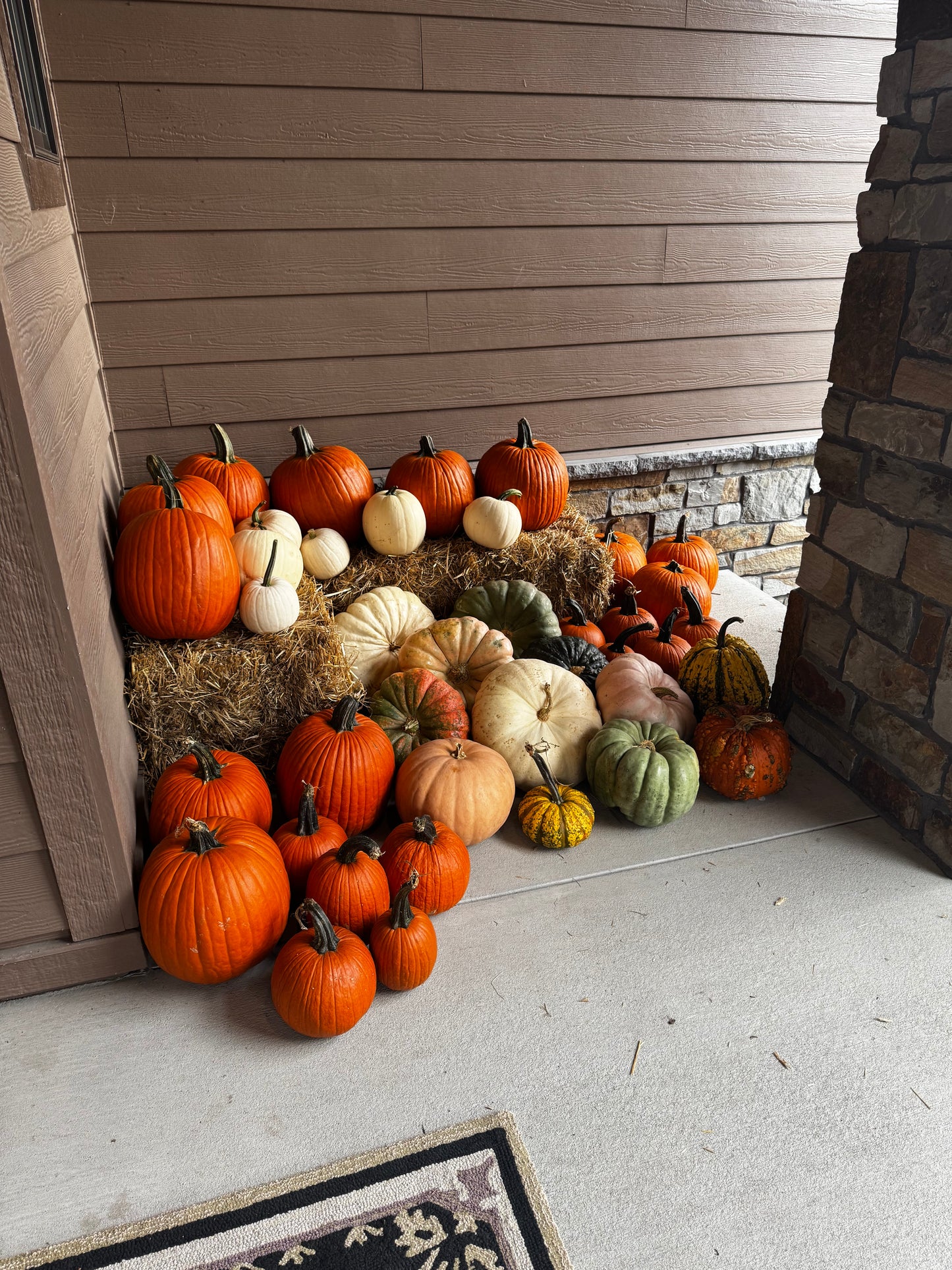 #2 - Fall Frenzy Porch Drop - delivery included