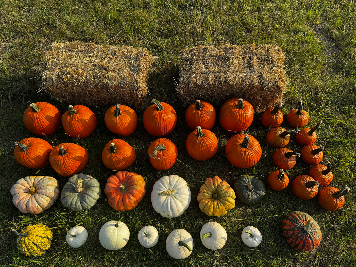 #2 - Fall Frenzy Porch Drop - delivery included