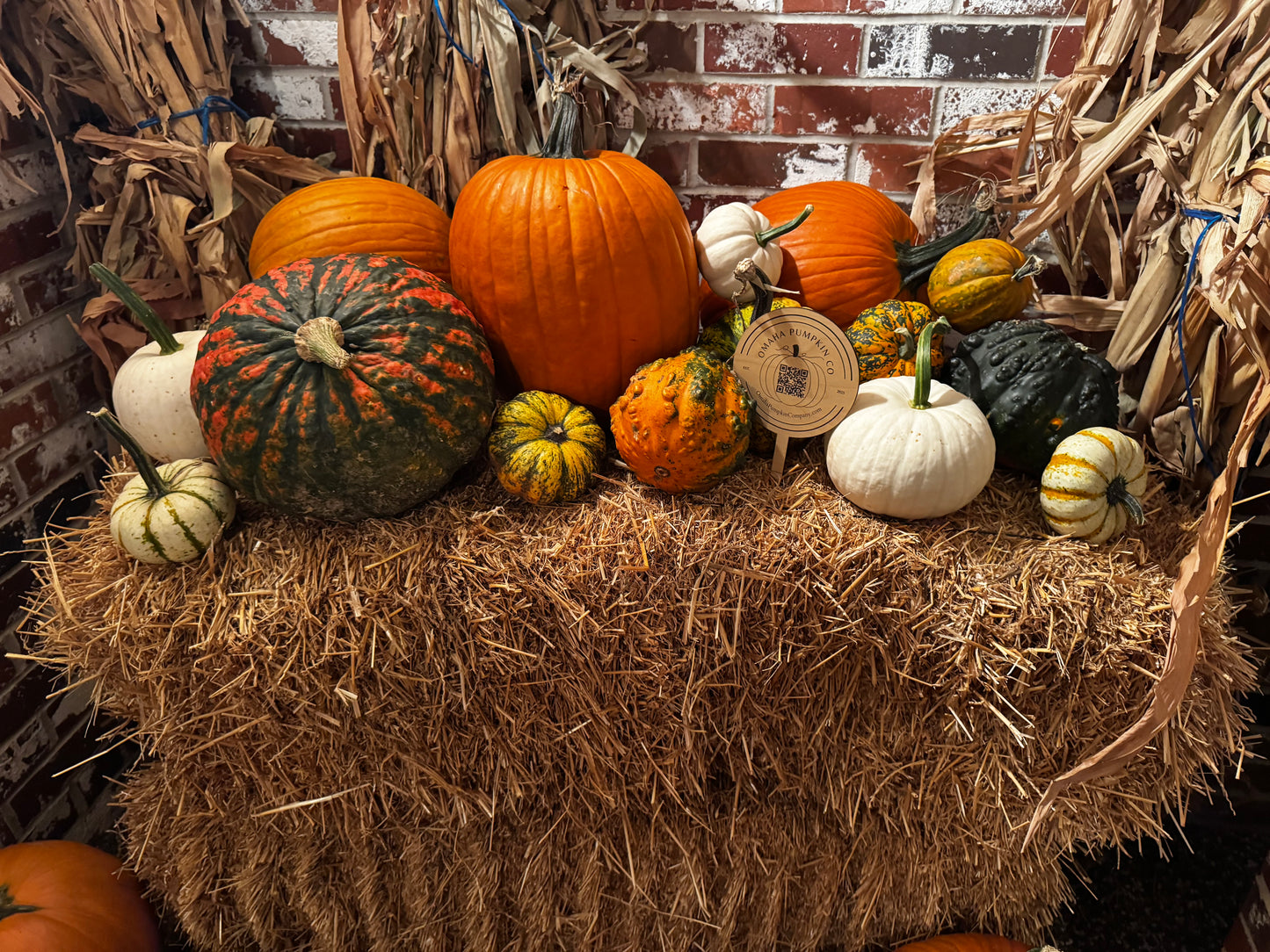 #5 - Autumn Bounty - delivery, setup & removal included