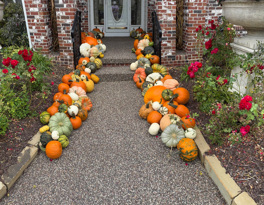#5 - Autumn Bounty - delivery, setup & removal included