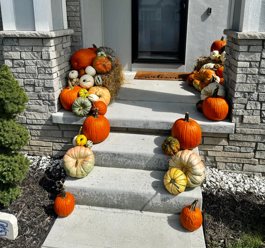 #2 - Fall Frenzy Porch Drop - delivery included