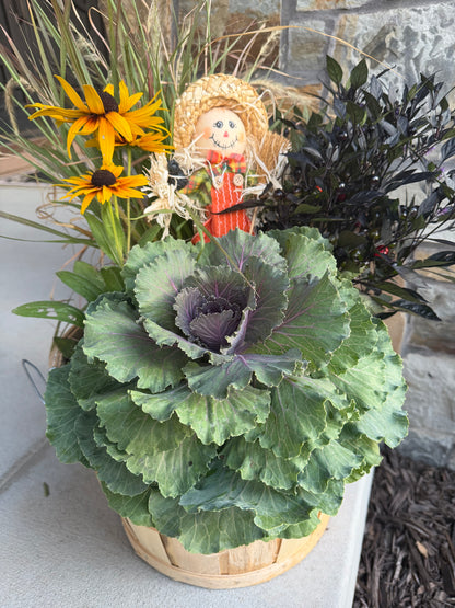 1/2 Bushel Fall Planter