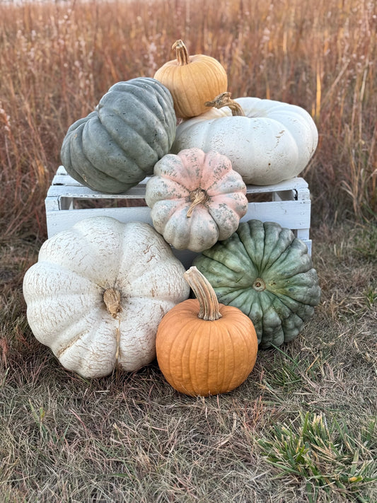 #3 - The Gourd Life - delivery included