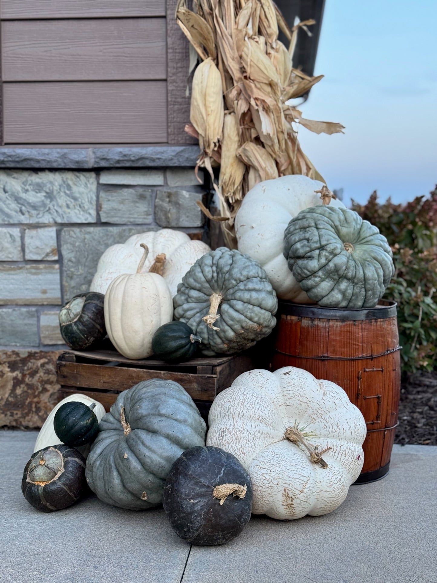 #3 - The Gourd Life - delivery included