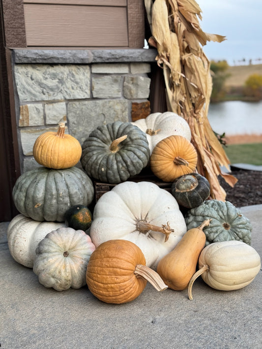 #3 - The Gourd Life - delivery included