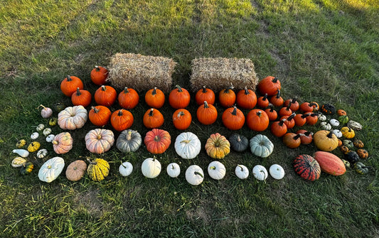 #4 - Harvest Haul - delivery & setup included