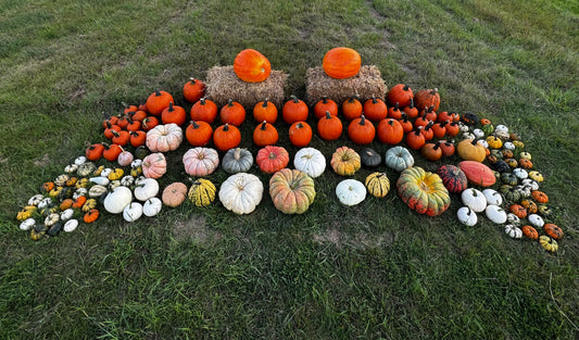 #5 - Autumn Bounty - delivery, setup & removal included
