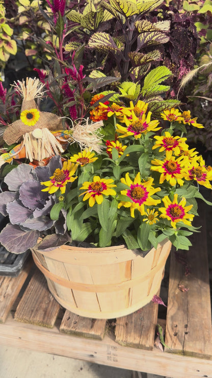 1/2 Bushel Fall Planter